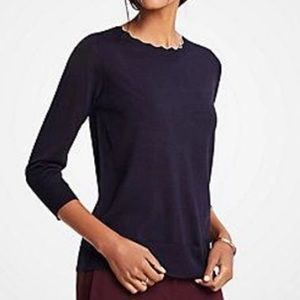 Ann Taylor Sweater